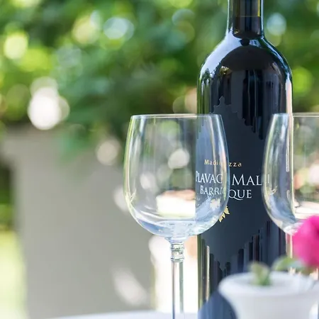 Appartamento Gaura - One-bedroom With Terrace