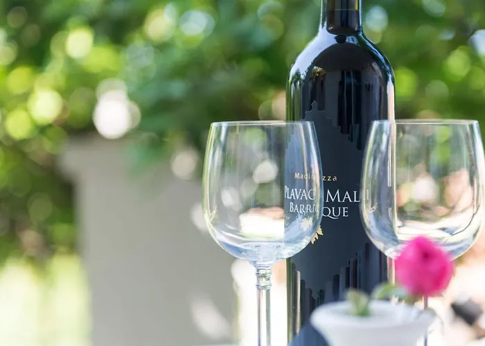 Apartament Gaura - One-bedroom With Terrace